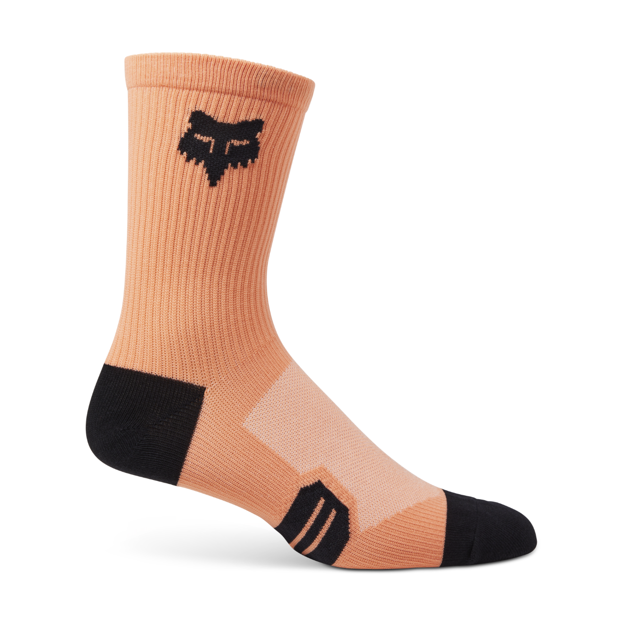 Fox 2023 Chaussettes Ranger 6" pour homme