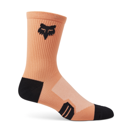 Fox 2023 Chaussettes Ranger 6" pour homme