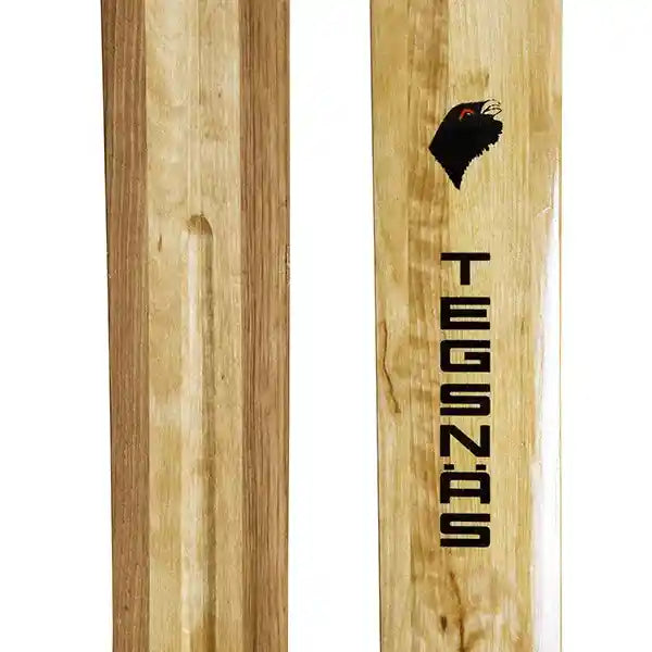 Tegsnas Rajd Skis