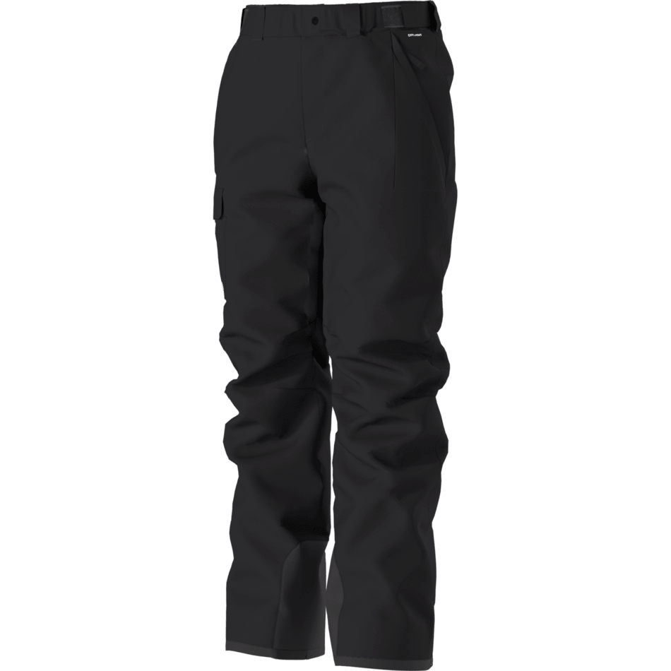 The North Face Men's Freedom Insulated Pant 2025-Snowboard/Ski Clothing-L REG-TNF Black-Npf-Kunstadt Sports
