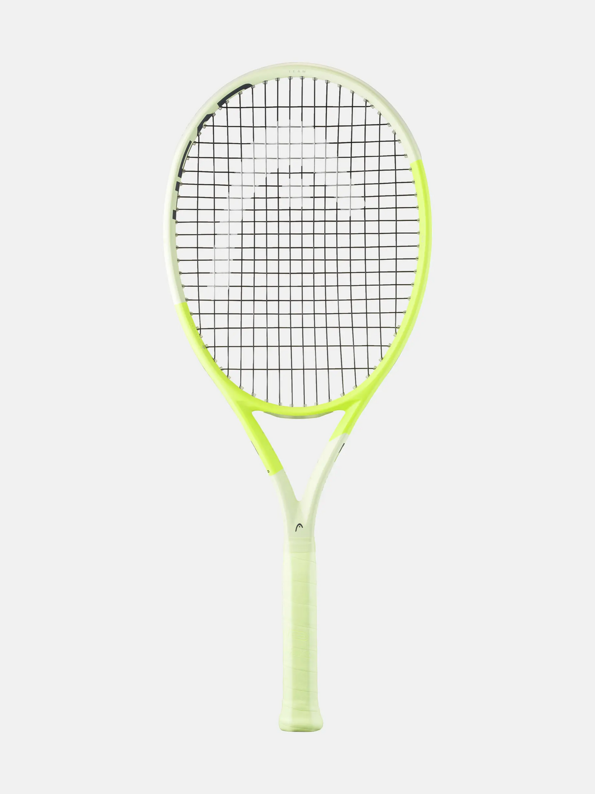 Head Extreme TEAM Frame 2026