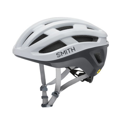 Smith Persist MIPS 2025