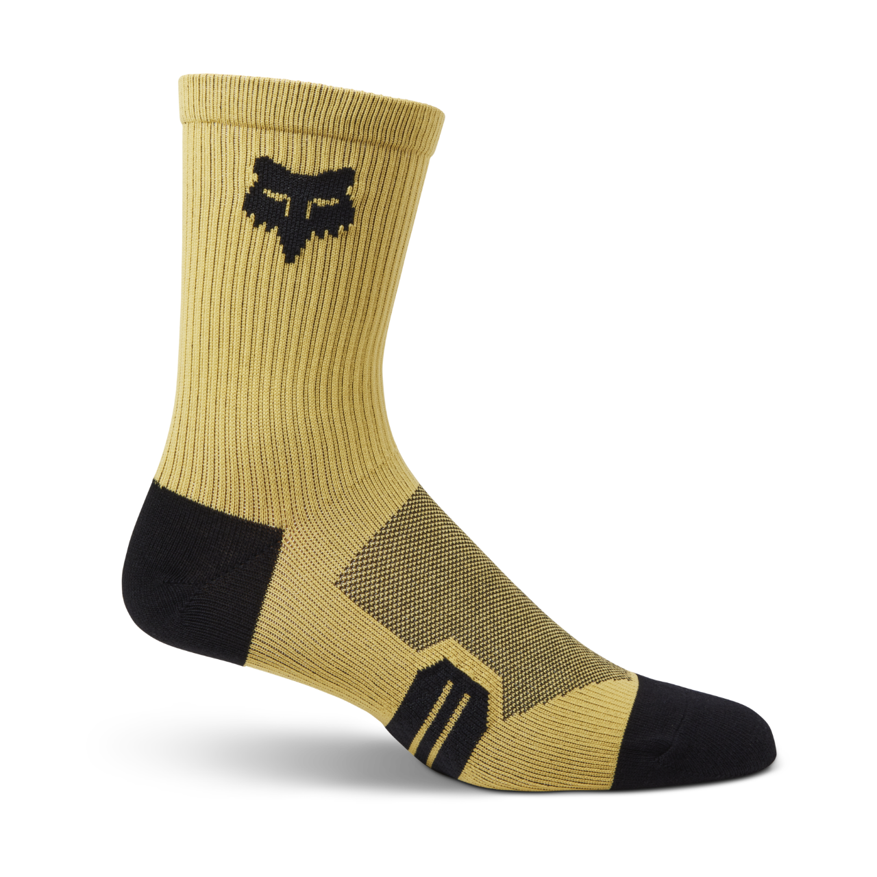 Fox 2023 Chaussettes Ranger 6" pour homme