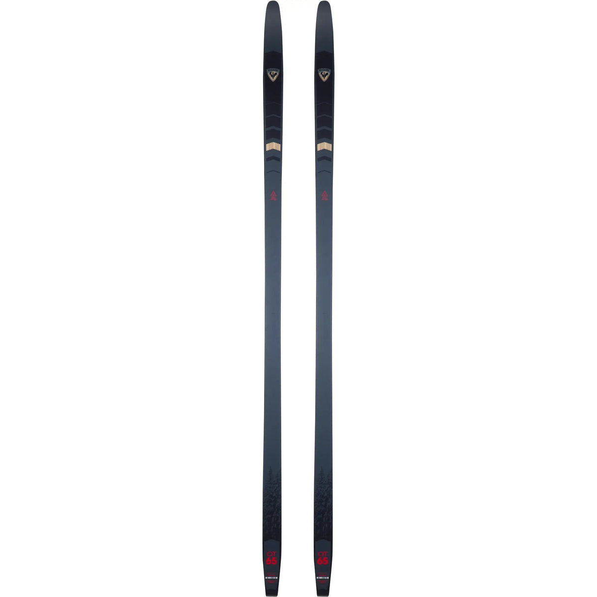 Rossignol 2023 EVO OT 65 POSITRACK Ski