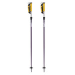 Line Paintbrush Adjustable Ski Poles 2026