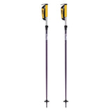 Line Paintbrush Adjustable Ski Poles 2026