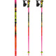 Alpine Ski Poles