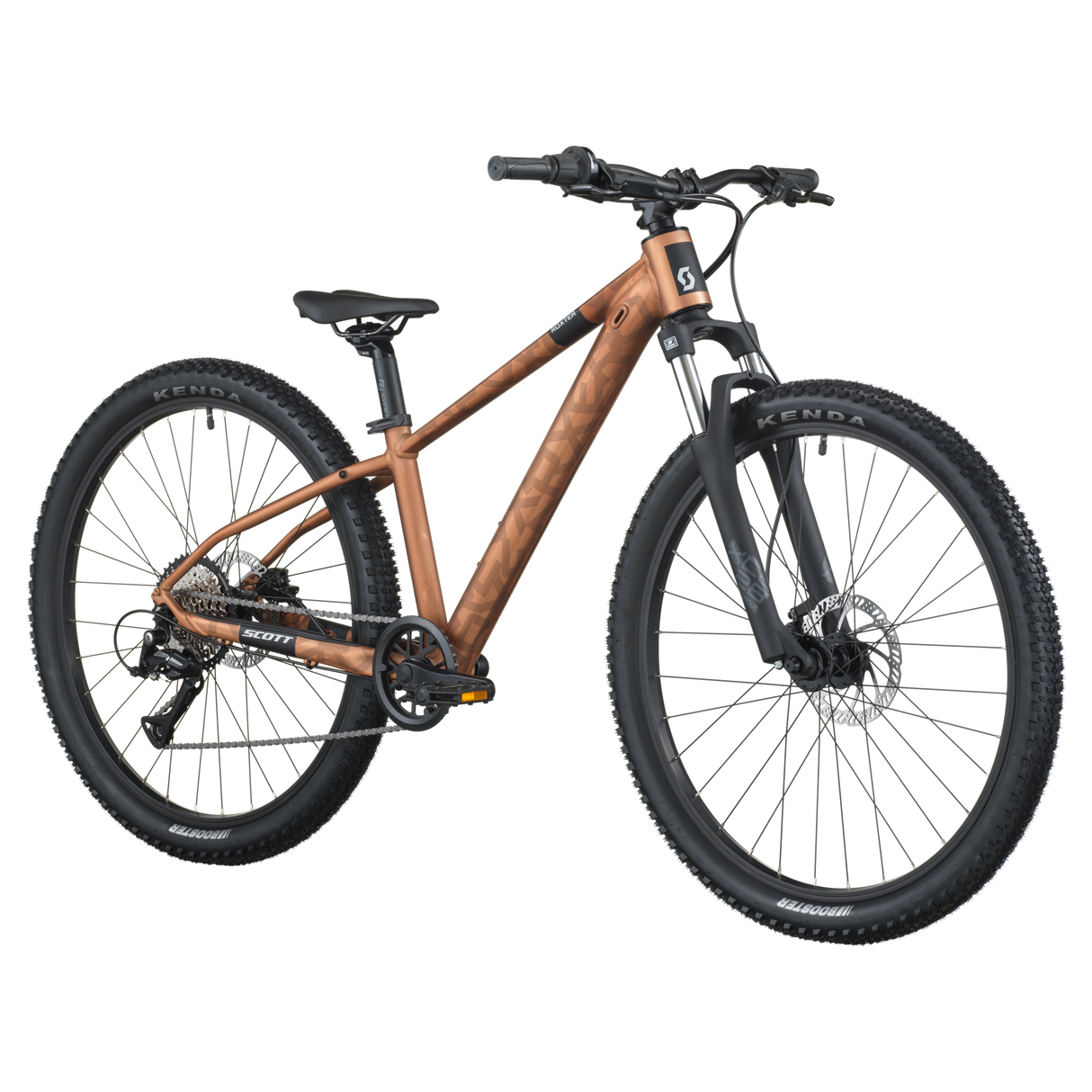 Scott Roxter 600 2026