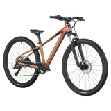 Scott Roxter 600 2026