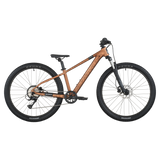 Scott Roxter 600 2026