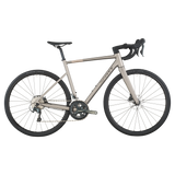 Scott Speedster 20 2026