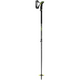 Alpine Ski Poles
