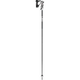 Alpine Ski Poles