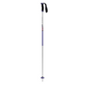 Atomic AMT SQS Retro ARC Alpine Ski Poles 2025