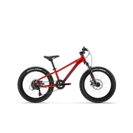 Devinci 2022 Ewoc 20 6s Bike-Junior