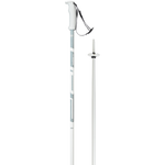 Elan Hot Rod Poles 2025-Alpine Ski Poles-110-White-Kunstadt Sports