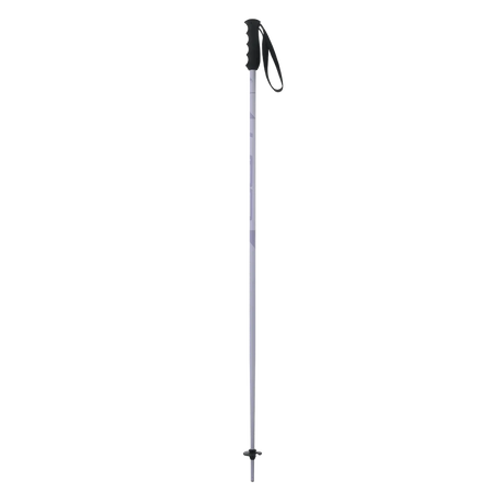 Elan Speed Rod Poles 2025-Alpine Ski Poles-110-Purple-Kunstadt Sports