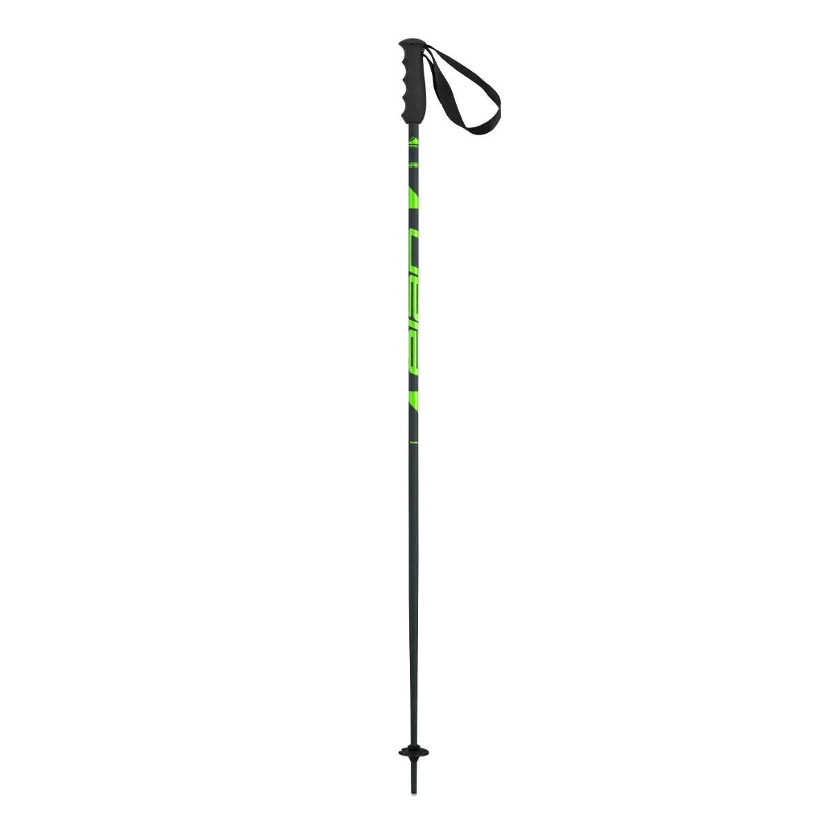 Elan Speed Rod Poles 2025-Alpine Ski Poles-110-Green-Kunstadt Sports