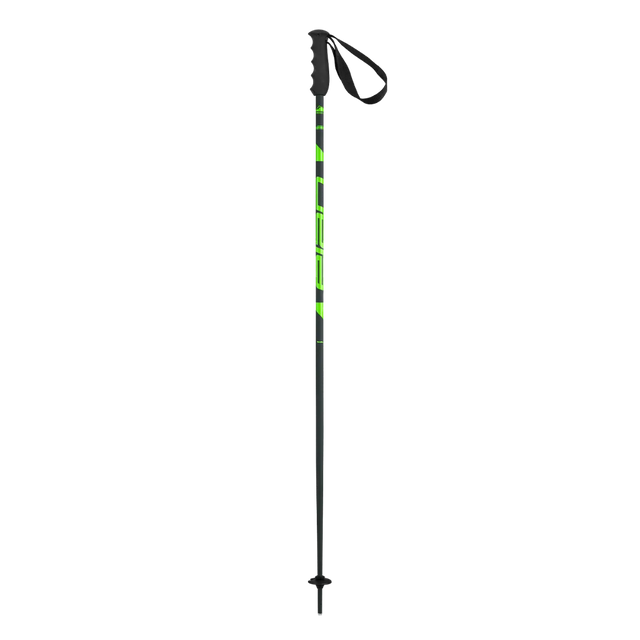 Elan Speed Rod Poles 2025-Alpine Ski Poles-110-Green-Kunstadt Sports