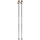 Nordic Ski Poles