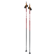 Nordic Ski Poles