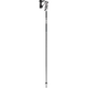 Alpine Ski Poles