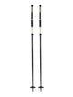 Alpine Ski Poles