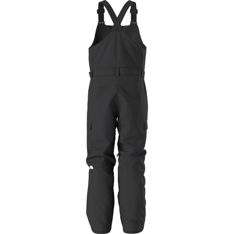 The North Face Men's Freedom Bib Pant 2025