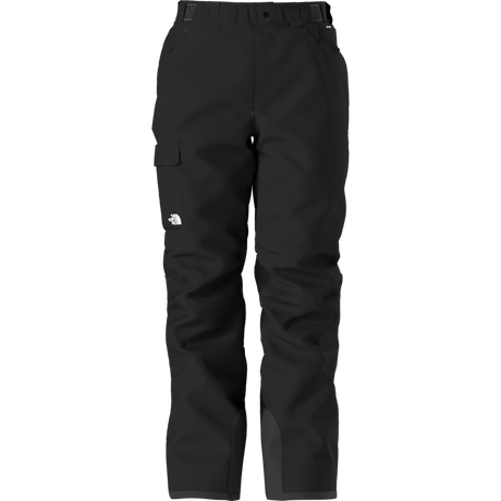 The North Face Men's Freedom Insulated Pant 2025-Snowboard/Ski Clothing-L REG-TNF Black-Npf-Kunstadt Sports