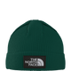 The North Face Unisex TNF Logo Box Cuf Beanie 2025-Outerwear Accessories-One Size-Evergreen-Kunstadt Sports