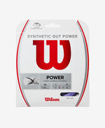 Wilson Synthetic Gut Power String