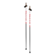 Nordic Ski Poles