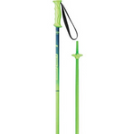 Alpine Ski Poles