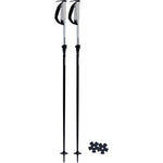 Line Paintbrush Adjustable Ski Poles 2027
