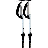Line Paintbrush Adjustable Ski Poles 2027