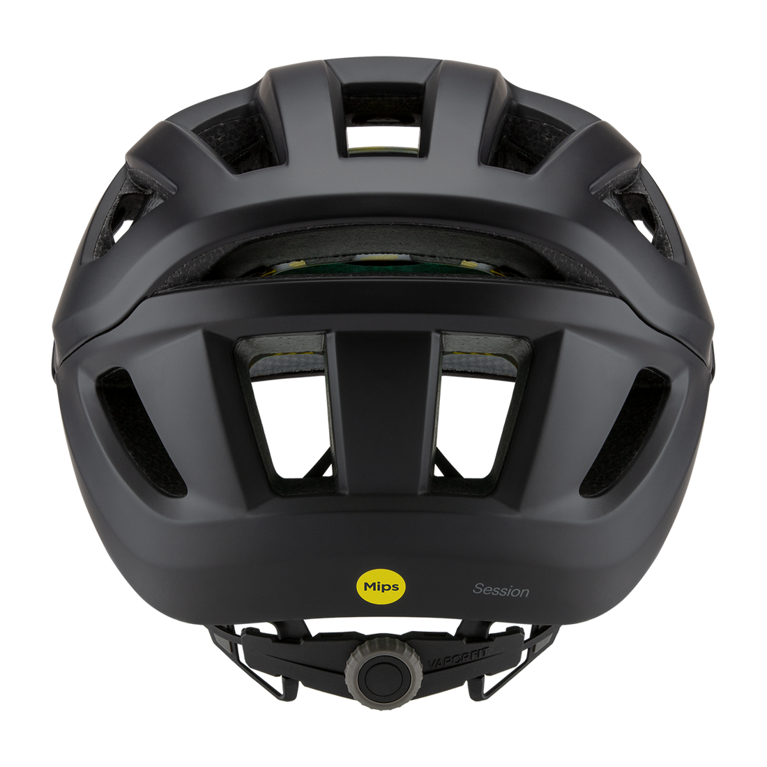 Smith Session MIPS 2026