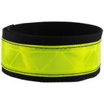 Evo - Reflective Band