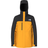 The North Face 2024 Men's Freedom Insulated Jacket