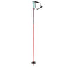 Volkl 2022 Phantastick 18mm Poles-Kunstadt Sports