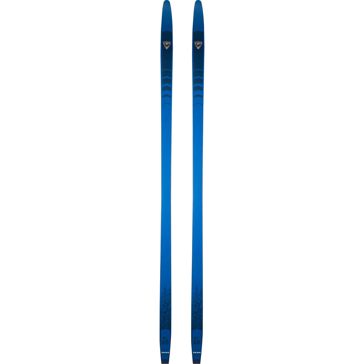 Rossignol 2023 BC 65 POSITRACK Ski
