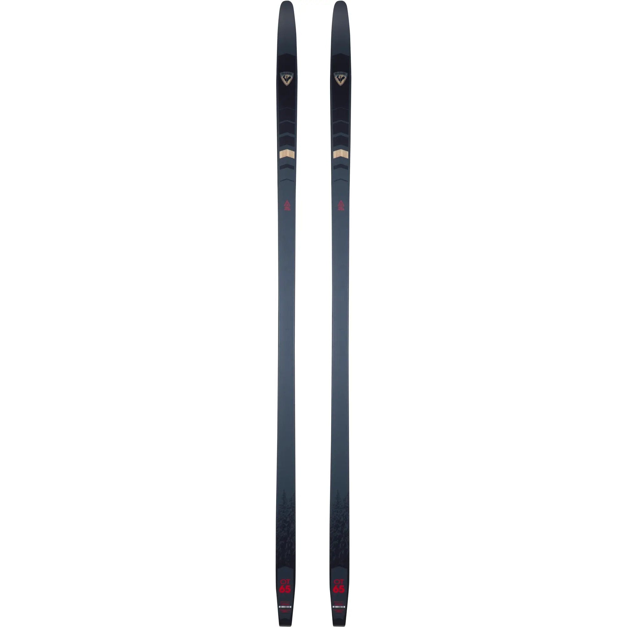 Rossignol 2023 EVO OT 65 POSITRACK Ski
